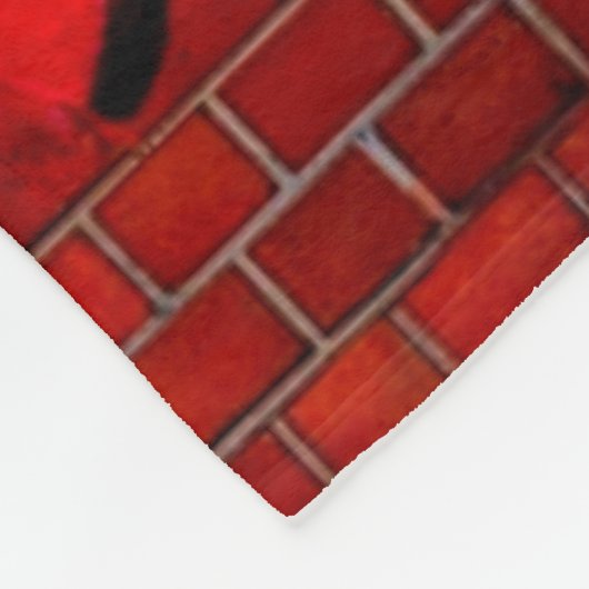 Couverture Polaire Lion en colère (Coin)