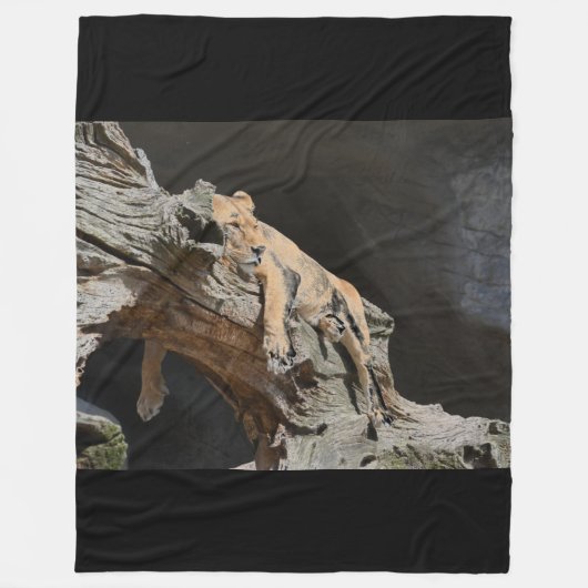 Couverture Polaire Lion Fleece Blanche (Devant)