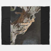 Couverture Polaire Lion Fleece Blanche (Devant (Horizontal))