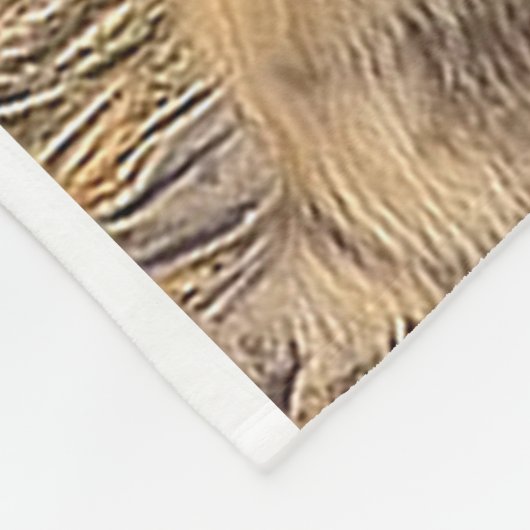 Couverture Polaire Lion Fleece Blanche (Coin)