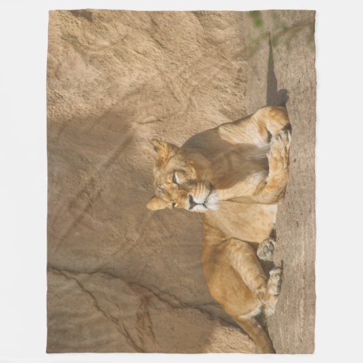 Couverture Polaire Lion Fleece Blanche (Devant)