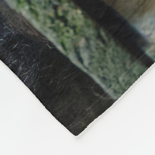 COUVERTURE POLAIRE LION LOVE (Coin)