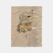 Couverture Polaire Lion marche (Devant)