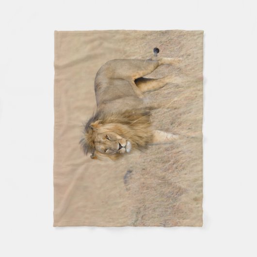 Couverture Polaire Lion marche (Devant)