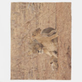 Couverture Polaire Lion mère et laine de laine (Devant)