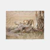 Couverture Polaire Lioness stretching (Devant (Horizontal))