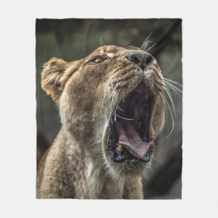 COUVERTURE POLAIRE LIONESS YAWNING