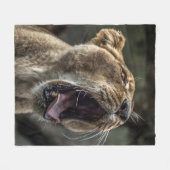 COUVERTURE POLAIRE LIONESS YAWNING (Devant (Horizontal))