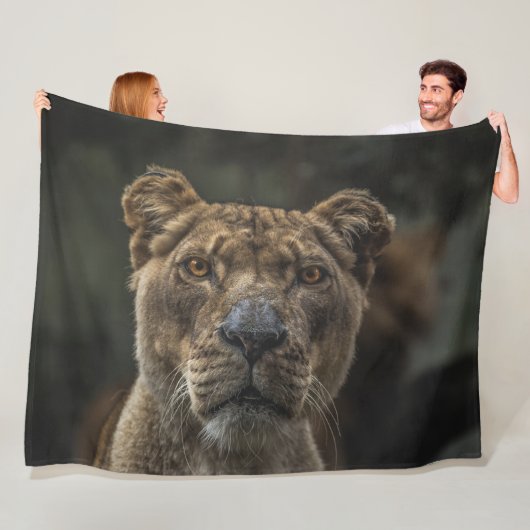 COUVERTURE POLAIRE LIONNEMENT (En situation)