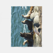 Couverture Polaire Lions de la mer de San Diego (Devant)