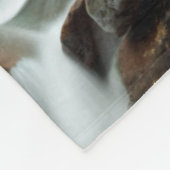 Couverture Polaire Little Pigeon River à Greenbrier (Coin)