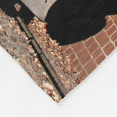 Couverture Polaire Locomotive de moteur de train de vapeur, Australie (Coin)