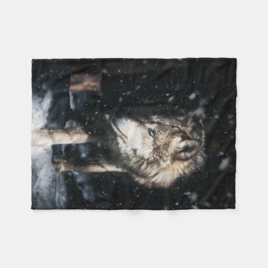 Couverture Polaire Lone Wanderer (Devant (Horizontal))