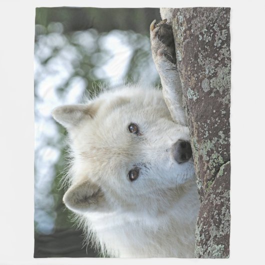 COUVERTURE POLAIRE LOUP ARCTIQUE (Devant)