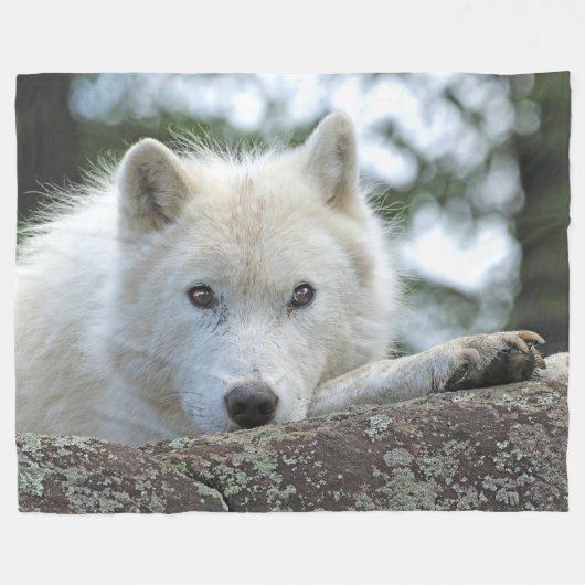 COUVERTURE POLAIRE LOUP ARCTIQUE (Devant (Horizontal))
