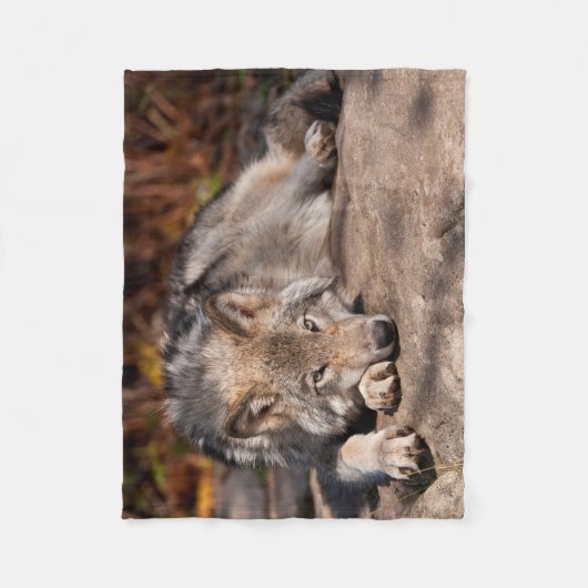 Couverture Polaire Loup de bois (Devant)