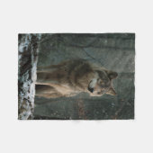Couverture Polaire Loup en hiver (Devant (Horizontal))