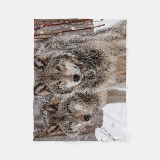 Couverture Polaire Loup gris-oriental (Devant)
