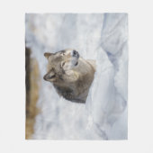 Couverture Polaire Loup solitaire en neige (Devant)
