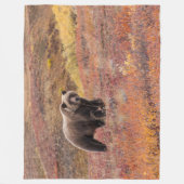 Couverture Polaire L'ours déplace le parc national de Denali, Alaska (Devant)