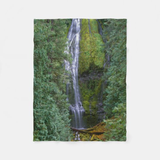 Couverture Polaire Lower Proxy Falls | Forêt nationale de Willamette (Devant)