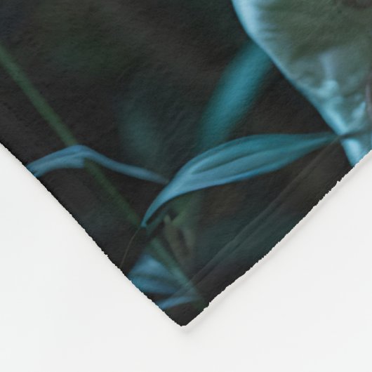 Couverture Polaire Lumière cardiaque (Coin)