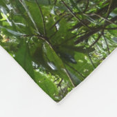 Couverture Polaire Lumière du soleil à travers la canopée de la forêt (Coin)