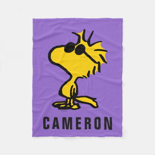 Couverture Polaire Lunettes de soleil Cool Woodstock | Ajouter Votre  (Devant)