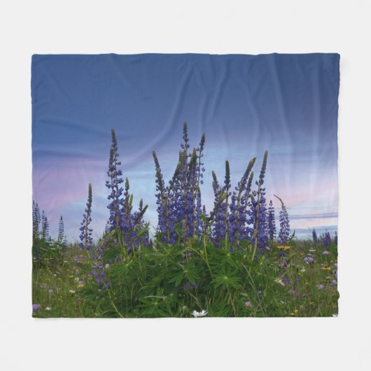 Couverture Polaire Lupins    (Devant (Horizontal))
