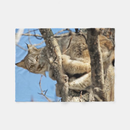 Couverture Polaire Lynx espiègle (Devant (Horizontal))