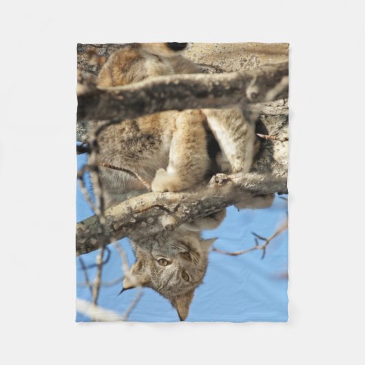 Couverture Polaire Lynx espiègle (Devant)