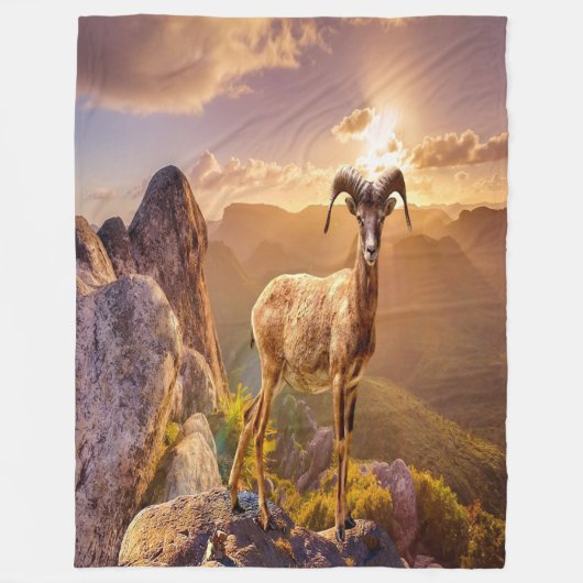 Couverture Polaire Magnifique Antelope (Devant)