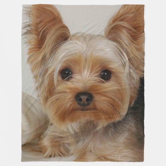 Couverture Polaire Magnifique Yorkshire Terrier (Devant)