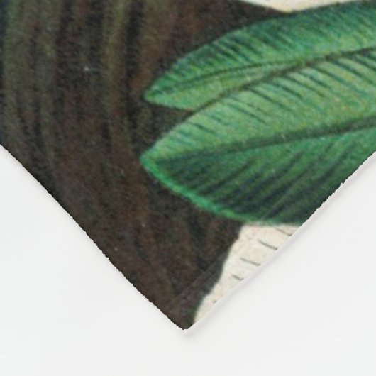 Couverture Polaire Magnifiques colibris d'art par Ernst Haeckel (Coin)