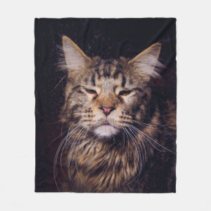 Couverture Polaire maine coon sur un arrière - plan noir
