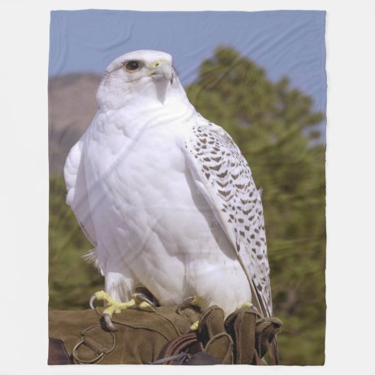 Couverture Polaire Majestic Gyrfalcon (Devant)