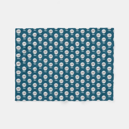 Couverture Polaire Malshi Turquoise (Devant (Horizontal))