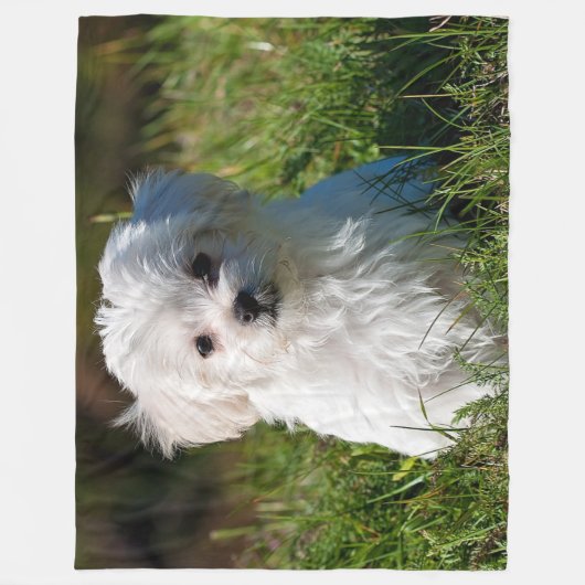 COUVERTURE POLAIRE MALTESE PUPPY (Devant)