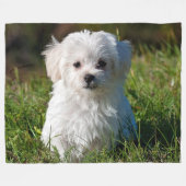 COUVERTURE POLAIRE MALTESE PUPPY (Devant (Horizontal))