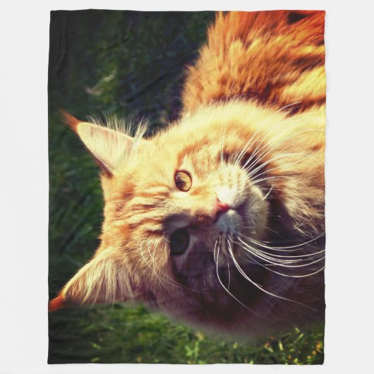 Couverture Polaire Mane Coon (Devant)