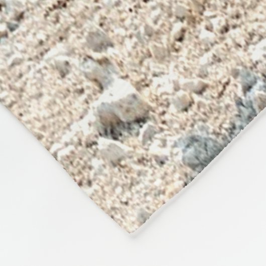 Couverture Polaire Marche de Zebra (Coin)