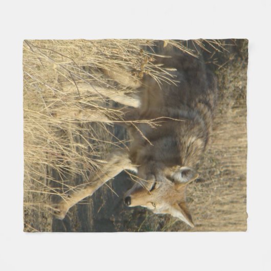 Couverture Polaire Marche du coyote R14 (Devant (Horizontal))