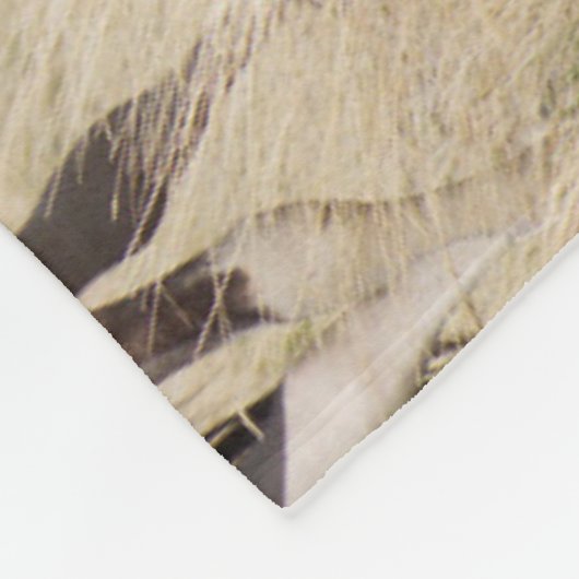 Couverture Polaire Mare avec Colt (Coin)