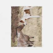 Couverture Polaire Mare avec Colt (Devant)