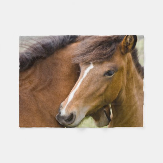 Couverture Polaire Mare Et Colt (Devant (Horizontal))