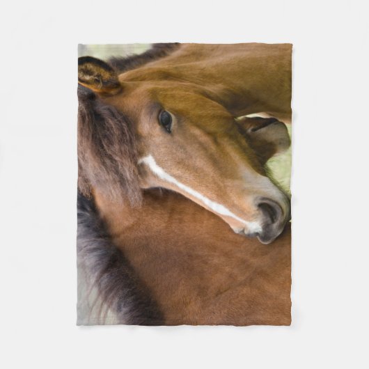 Couverture Polaire Mare Et Colt (Devant)