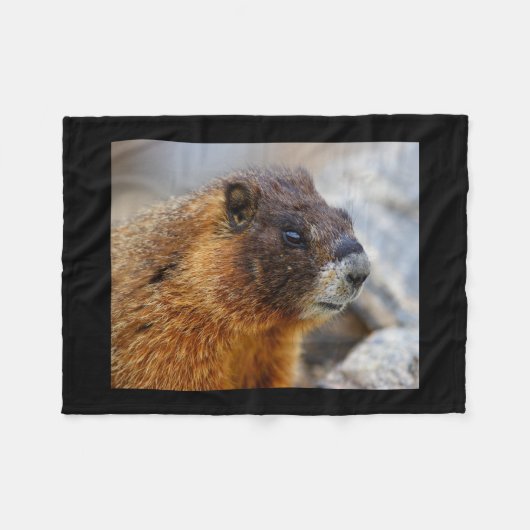 Couverture Polaire marmotte (Devant (Horizontal))