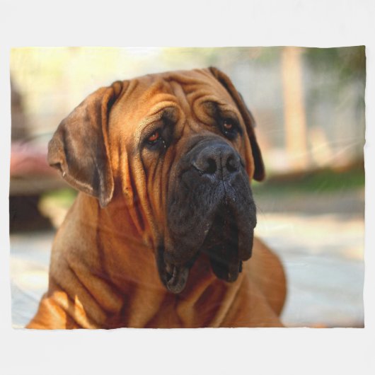 COUVERTURE POLAIRE MASTIFF ANGLAIS (Devant (Horizontal))