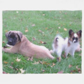 Couverture Polaire MASTIFF et PAPILLON PUPPYS (Devant (Horizontal))