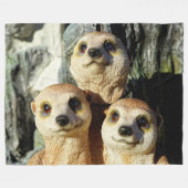 COUVERTURE POLAIRE MEERKAT (Devant (Horizontal))